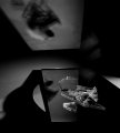 Still Life - Details