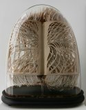 Le Mariage Parfait - Details