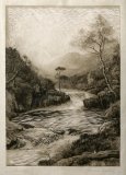 The Stream - Details