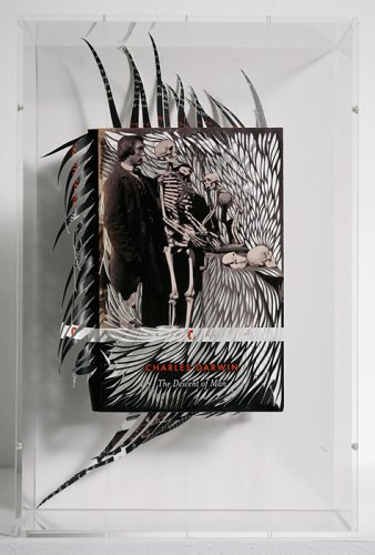The Descent of Man - Details