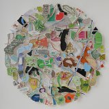 Map Circle (Akimiski Island) - Details