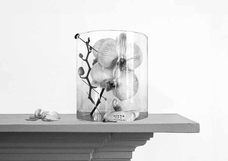Wanton Construction  iii - Details