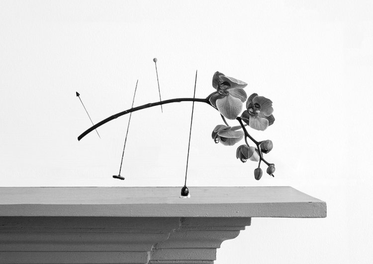 Wanton Construction ii - Details