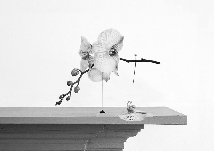 Wanton Construction iv - Details