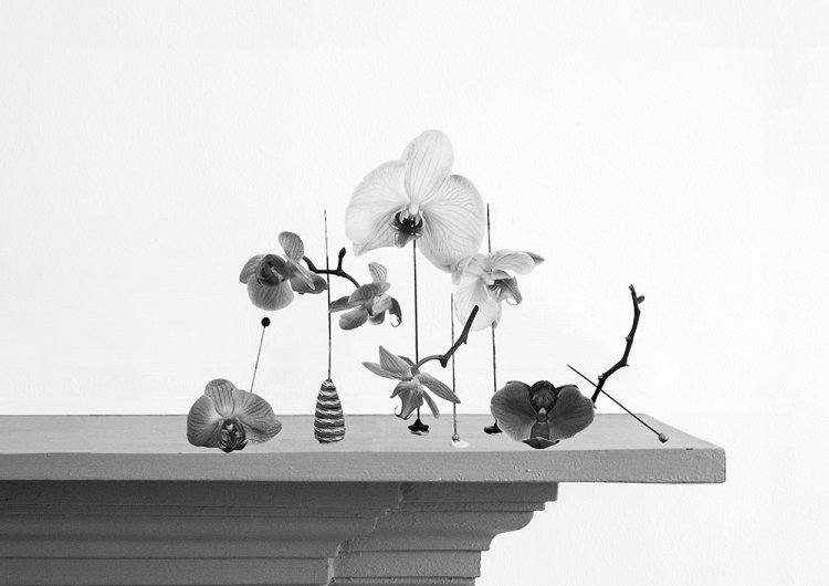 Wanton Construction ix - Details