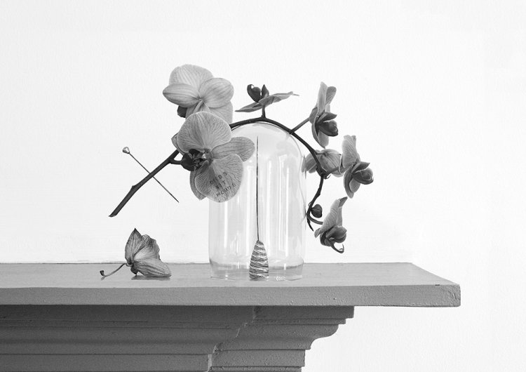 Wanton Construction i - Details