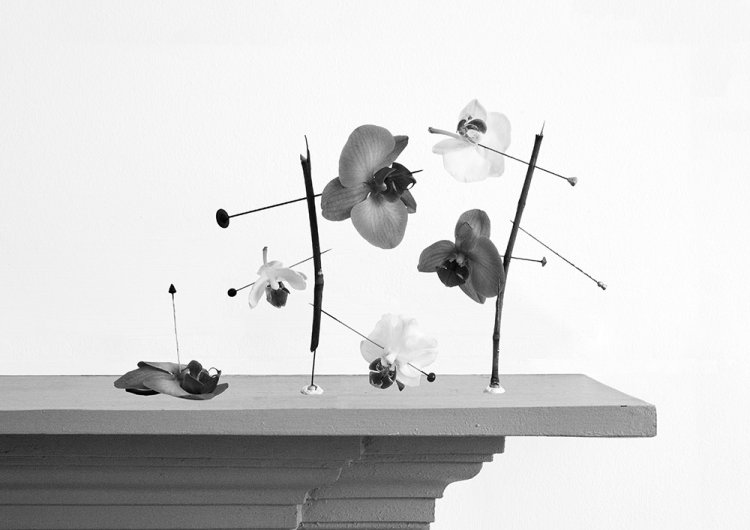 Wanton Construction vii - Details
