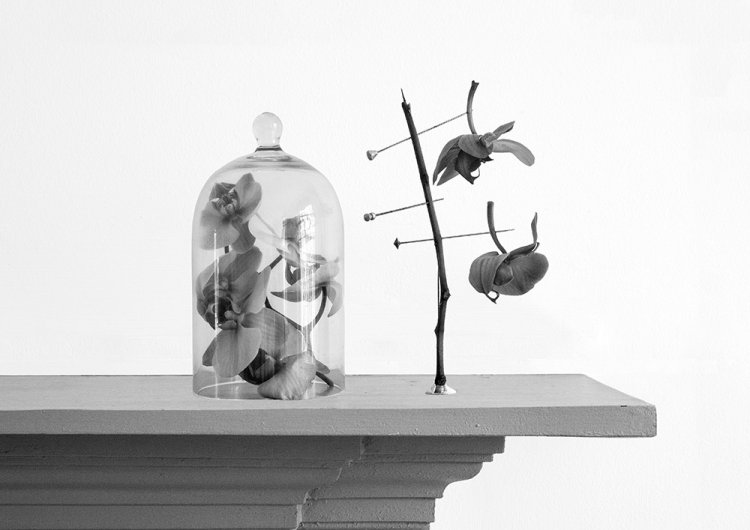 Wanton Construction vi - Details