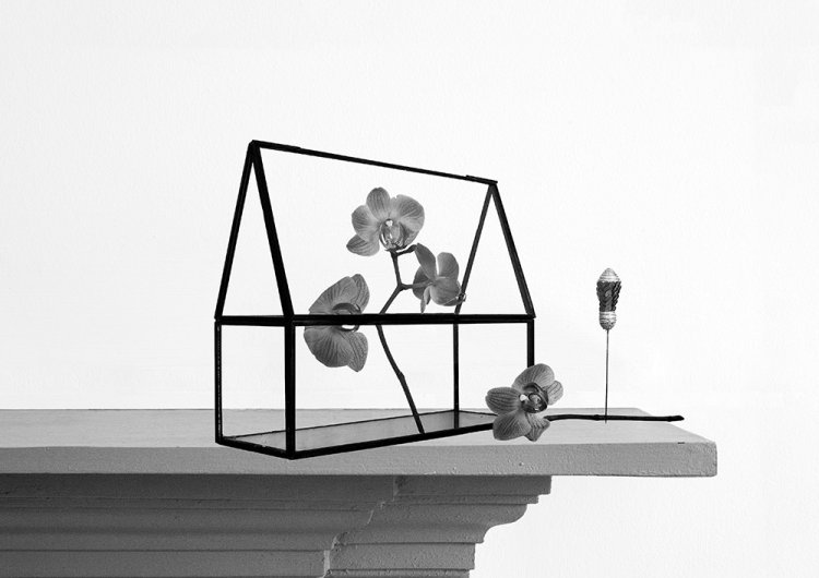 Wanton Construction v - Details