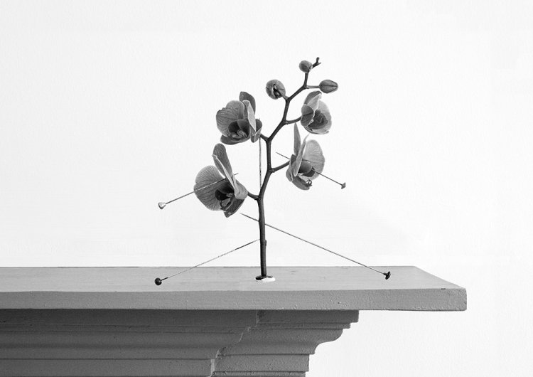 Wanton Construction x - Details