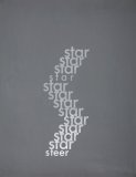 Star/Steer - Details