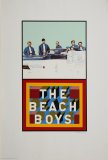 Beach Boys - Details