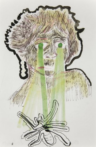 Zapped Solifugue 2011 - Details