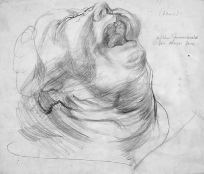 Study after Grünewald - Details