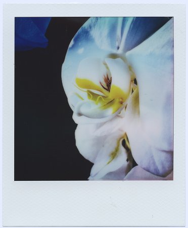 Now We Are Blue ii - Details