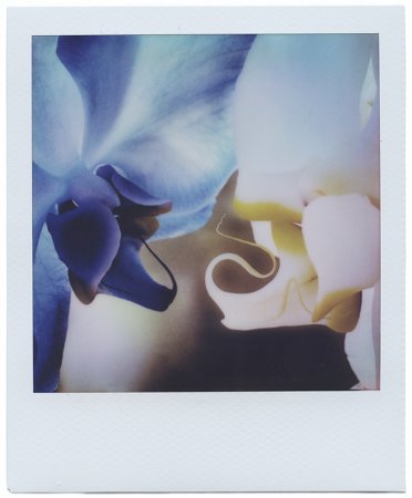 Now We Are Blue iv - Details