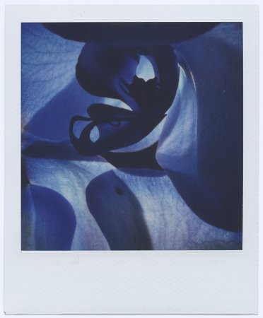 Now We Are Blue vi - Details
