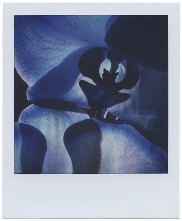 Now We Are Blue v - Details