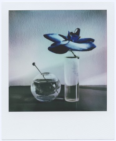 Now We Are Blue xiii - Details