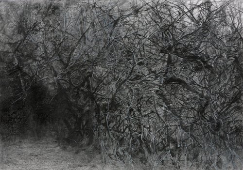 Seasonal Drawing (Untitled) - Details Seasonal Drawing (Untitled) - Details