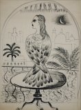 Birdwoman, Morocco - Details