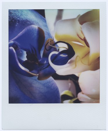 Now We Are Blue iii - Details