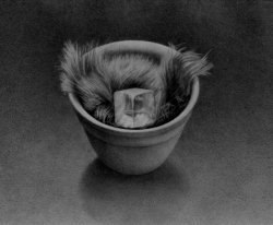 Crystal and Fur,<br> 1982
pencil on paper<br>
7 x 9.5 inches - image Crystal and Fur,<br> 1982
pencil on paper<br>
7 x 9.5 inches - image