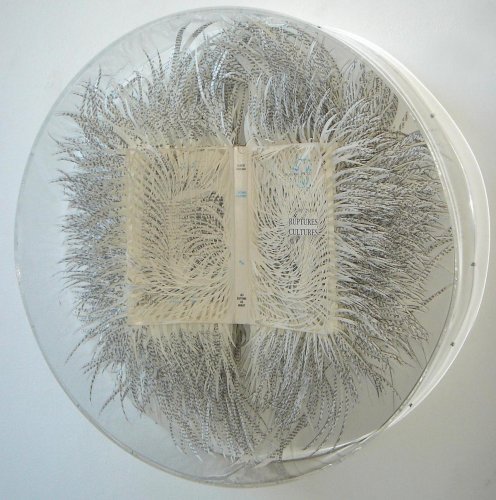 Ruptures cultures - Details Ruptures cultures - Details