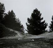 Day Four, Woods (Inner Square Panorama), June 1982    - Details