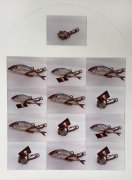 Trapped Trout - Details