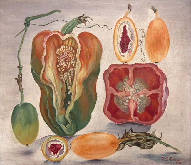 Seeds - Details