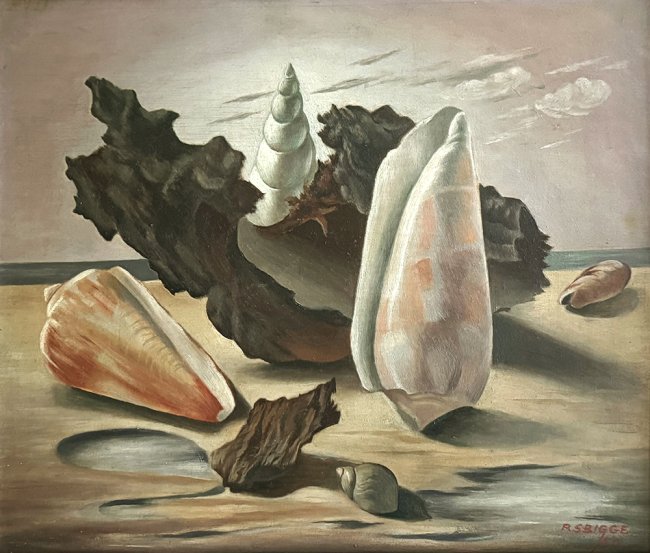 Shells - Details