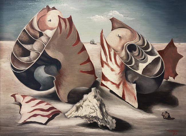 Shell Section - Details